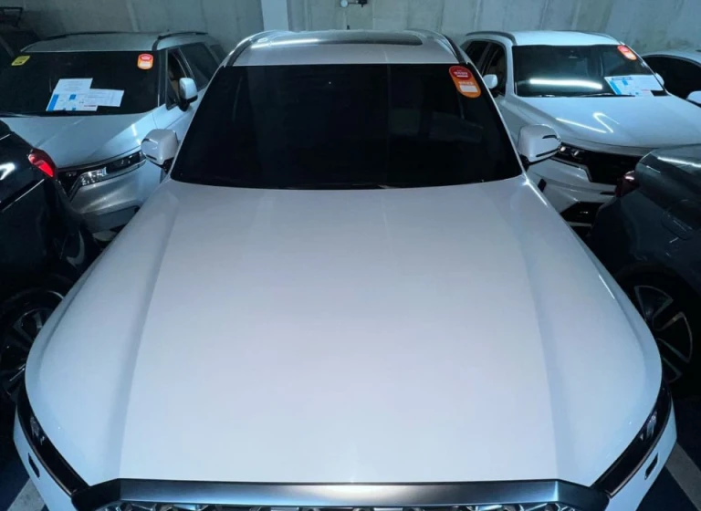 Hyundai Palisade 2020