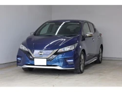 Nissan Leaf 11