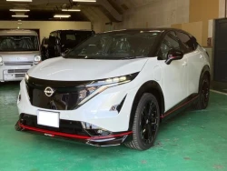 Nissan Ariya 17