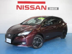 Nissan Leaf 15