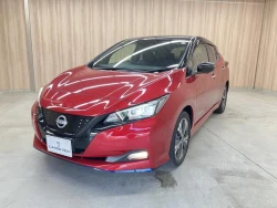 Nissan Leaf 10