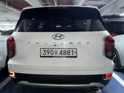 Hyundai Palisade 2020 0