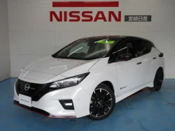 Nissan Leaf 13